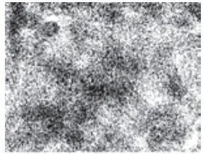 Whynter ARC-12SD ECO-FRIENDLY 12,000 BTU Portable Air Conditioner - Image 9