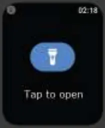 boAt Wave Max Smart Watch - Flashlight