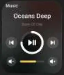 boAt Wave Max Smart Watch - Music Control