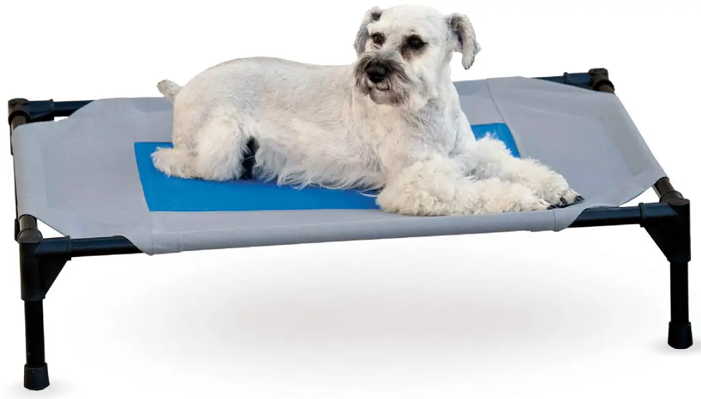 K H Pet Cot Outdoor Elevator