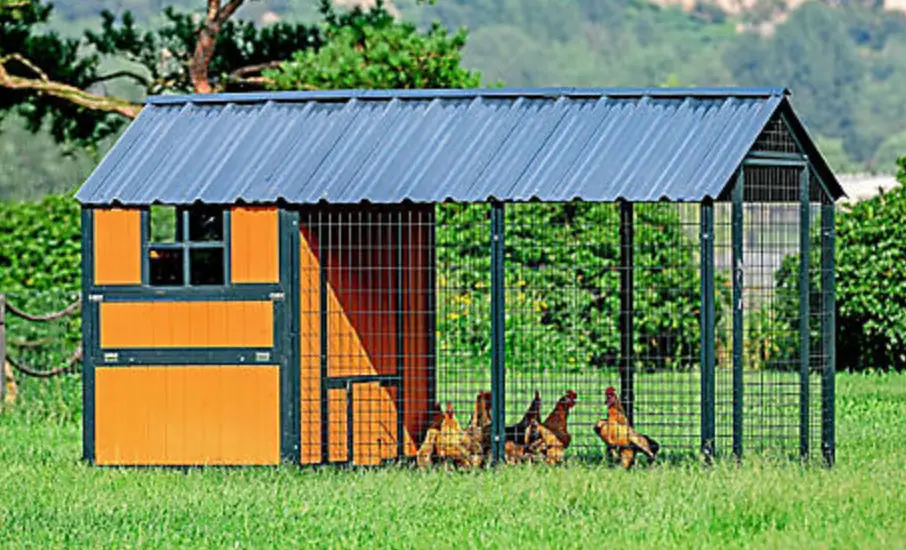 Tractor Supply Company 1994517 Guardian Chicken Coop Instruction Manual