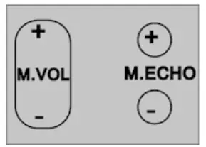 remote control: mic. volume and echo
