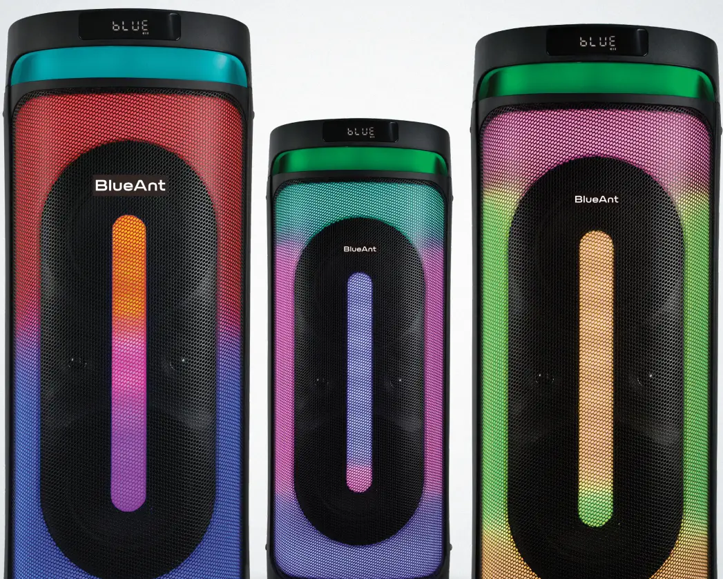 BlueAnt X6 Bluetooth Speaker - fig