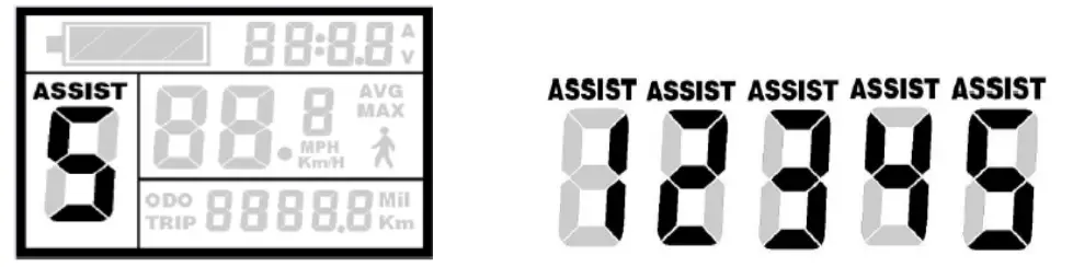 DJ Bikes HE005S DJ Super Bike - power