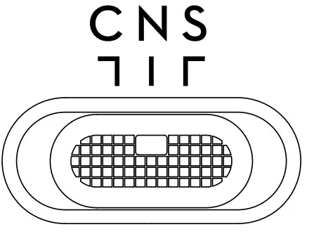 CNS