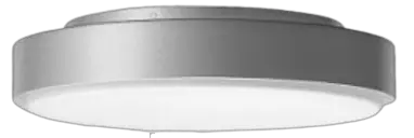 BEGA-89758-2-Ceiling-and-Wall-Luminaire-product