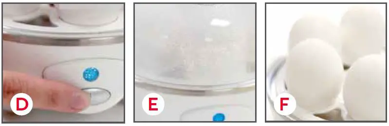 Dash-DEC005-RAPID EGG-COOKER-5