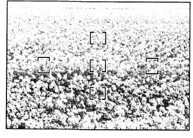 Nikon-NIKKOR-AF-S-DX-18-200mm-f-Lens-FIOG- (10)