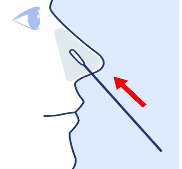 Swab Both Nostrils
