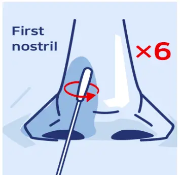 Swab Both Nostrils