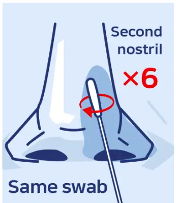 Swab Both Nostrils