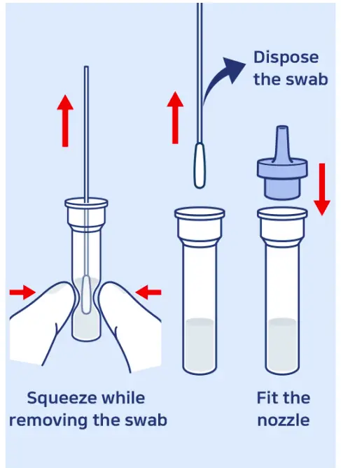 Transfer Swab