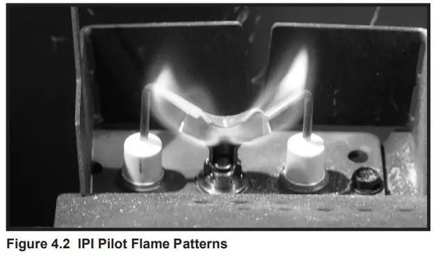HEARTH HOME technologies RCOR DV36IN Direct Vent Gas Fireplace - Patterns