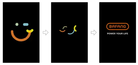 BAFANG DP C010.CB Display LCD - Power ON