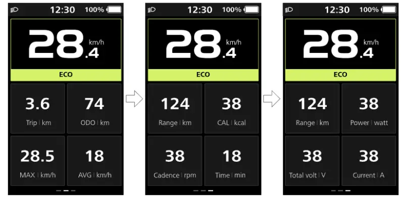 BAFANG DP C010.CB Display LCD - Riding Data