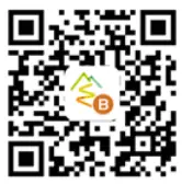 BAFANG DP C010.CB Display LCD - qr code 2