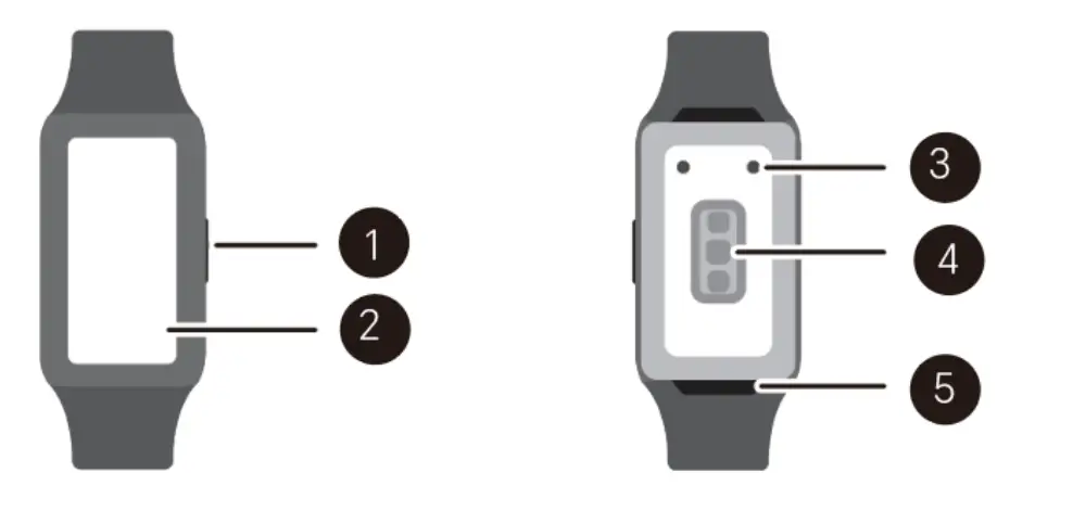 HONOR Band 7 Global Smart Watch - Global