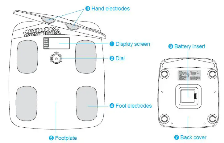 InBody-H20B-Body-Fat-Scales-and-Smart-Weight-Scales-2
