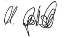 ROTHENBERGER ROWELD P 125 Set 63-75 mm Electronic Sleeve Welding - signature 1