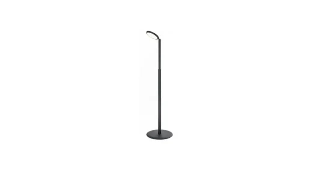Grau Parrot Led Floor Lamp User Manual