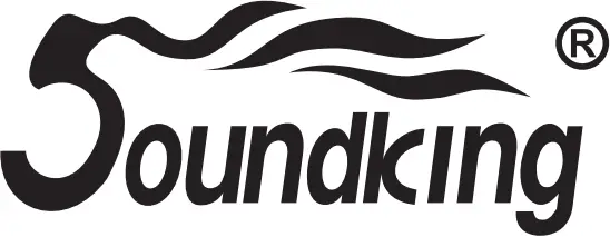 Soundking logo1