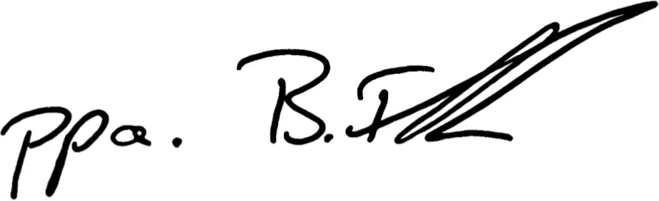 metabo - Bernd Fleischmann