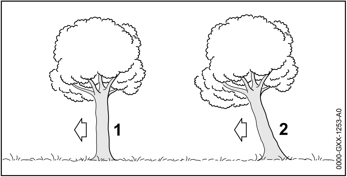 STIHL MSA 160 C 200 C Cordless Chainsaw - Plunge cutting 2
