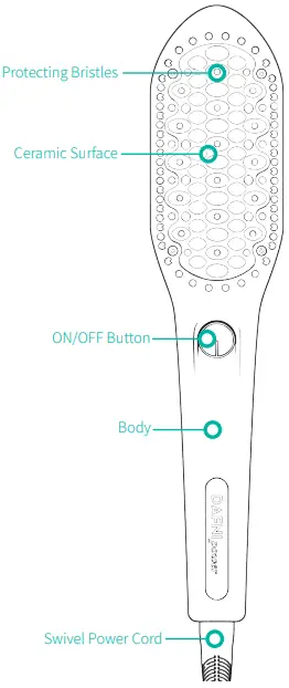 :disposal and Recycling