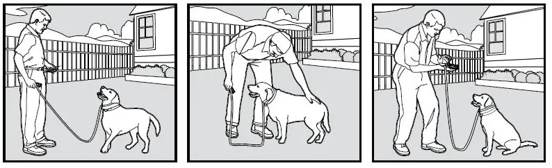 SmartPet-E300-Dog-Training-Collar-fig-10