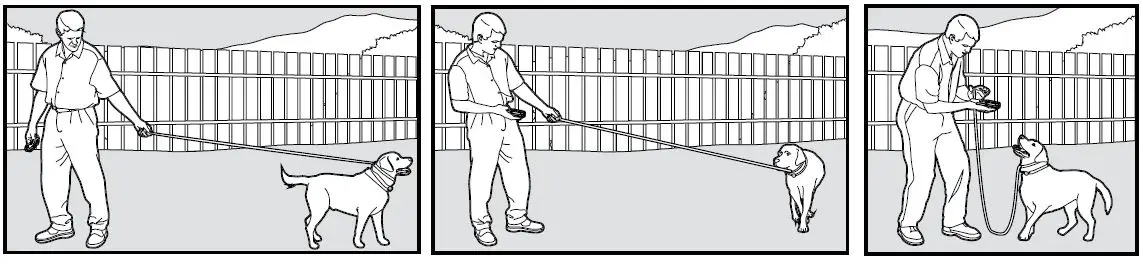 SmartPet-E300-Dog-Training-Collar-fig-11