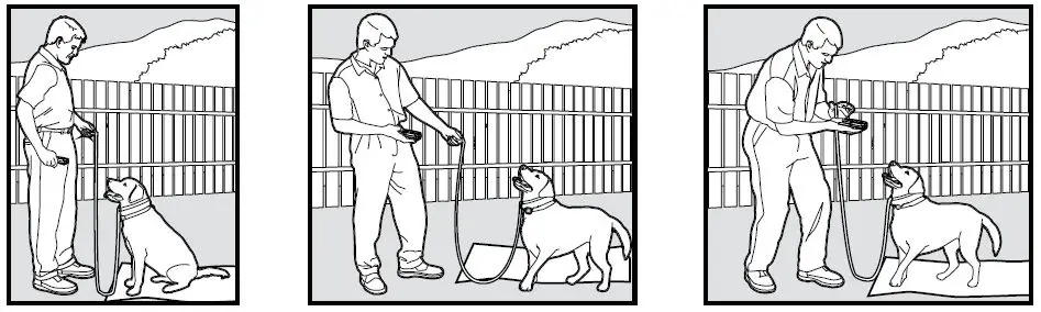 SmartPet-E300-Dog-Training-Collar-fig-12