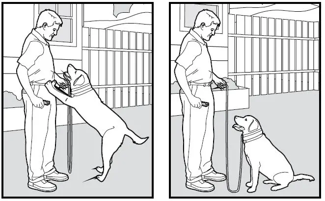 SmartPet-E300-Dog-Training-Collar-fig-13