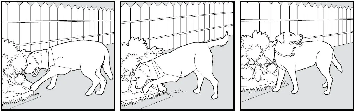 SmartPet-E300-Dog-Training-Collar-fig-14