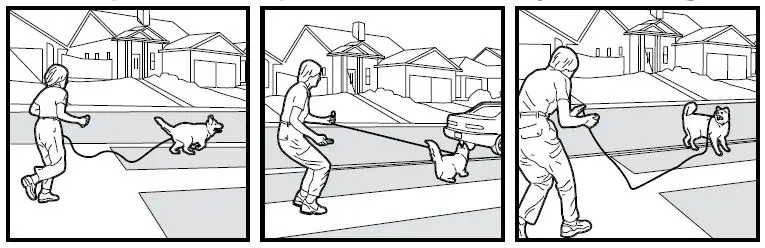 SmartPet-E300-Dog-Training-Collar-fig-15