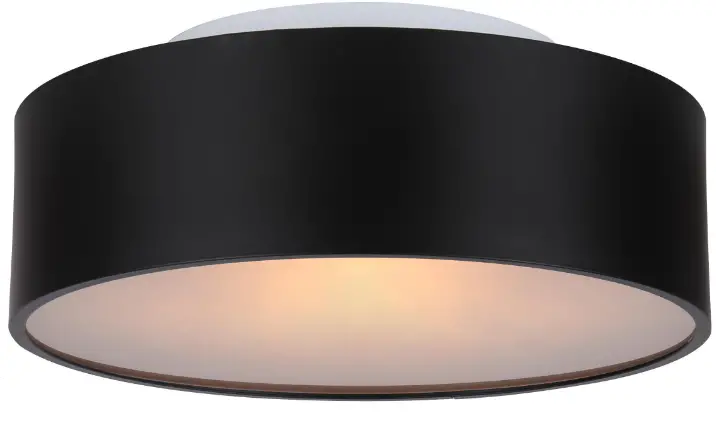 CANARMNA-IFM742B13-Dexter-Ceiling-Light-Fixture-PRO