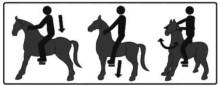 ROLLZONE MP2040-M My Pony Ride On Toy - Assembly2