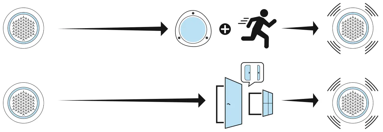 Standard Usage Option