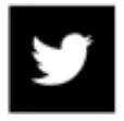 Twitter Icon