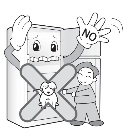 Important Safety Information