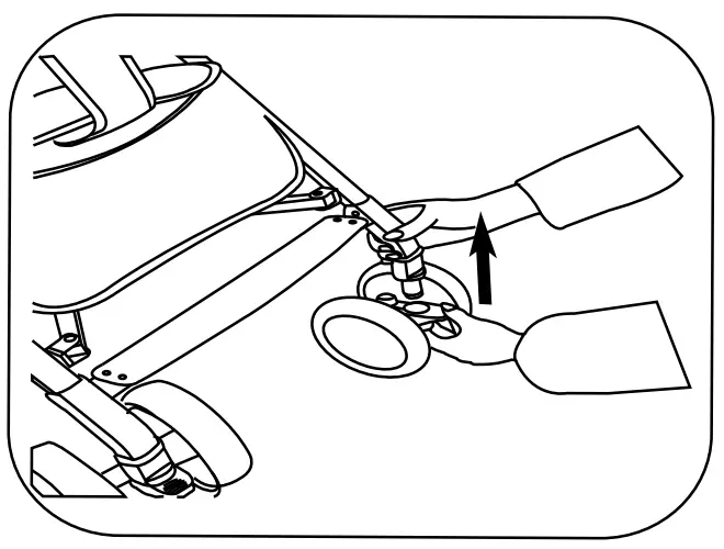 Assembly & Use Instructions