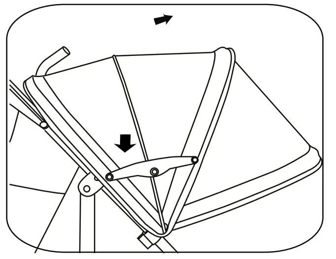 Assembly & Use Instructions