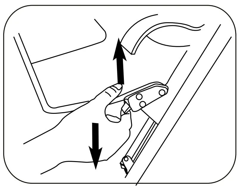 Assembly & Use Instructions
