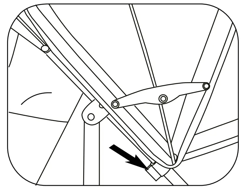 Assembly & Use Instructions