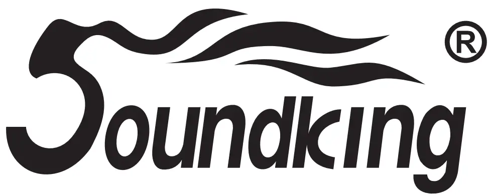Soundking Logo