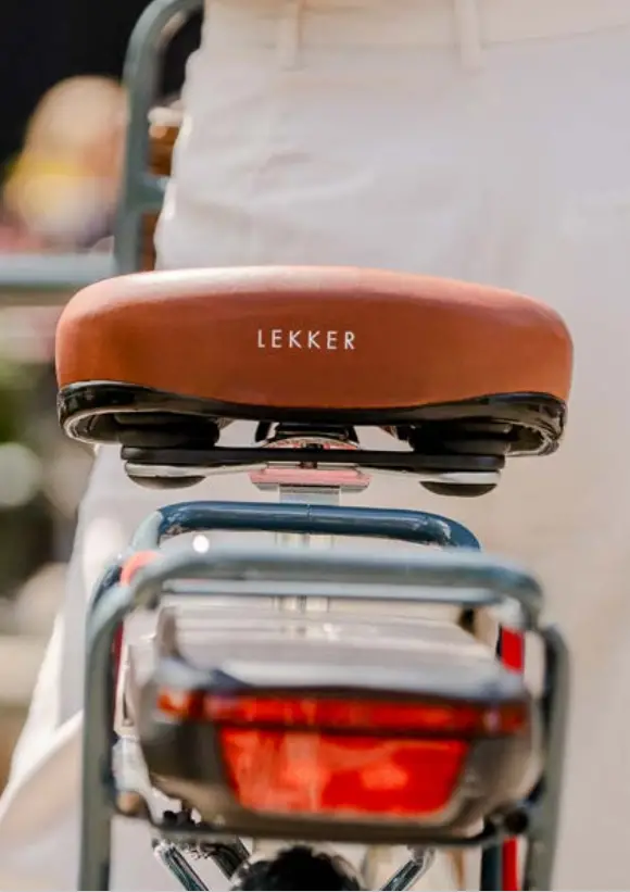 LEKKER Jordaan GT eBike 3