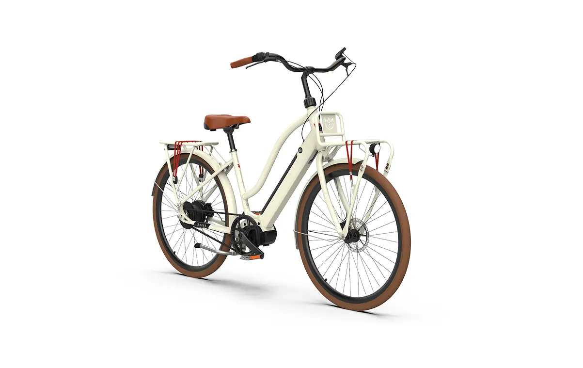 Lekker Jordaan Gt Ebike Installation Guide