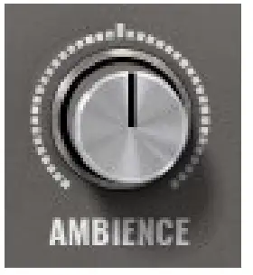 WAVES Nx Germano Studios - Ambience