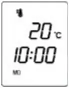 NEW FOREST 1900 Electric Fire - icon 13