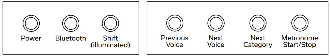 GEWA KEYS GEWA PP-3 Digital Piano - Alternative Key Layout 2