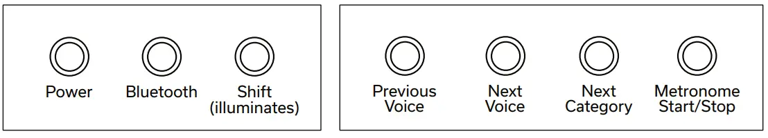 GEWA KEYS GEWA PP-3 Digital Piano - Alternative Key Layout